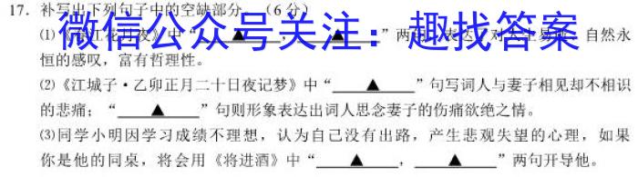 衡水金卷先享题·月考卷 2023-2024学年度上学期高二年级四调考试语文