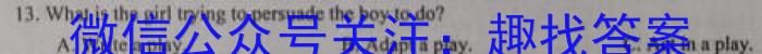 安徽省2023-2024学年度第一学期九年级期中素质教育评估试卷英语