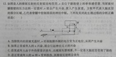 安徽省2023-2024学年度九年级上学期期中调研考试生物