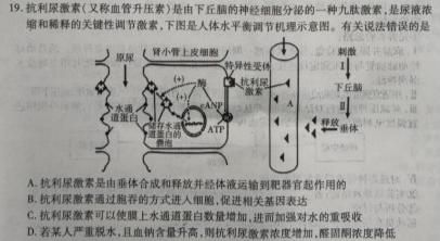 甘肃省2023~2024学年度高三第一学期第三次月考(24225C)生物