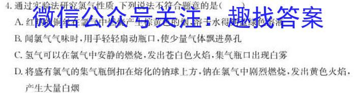 f2023年宜荆荆随高一11月联考化学