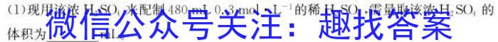 f江西省2023-2024学年第一学期九年级期中质量检测化学