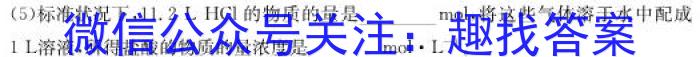 q湖南省2024届高三11月质量检测试题化学