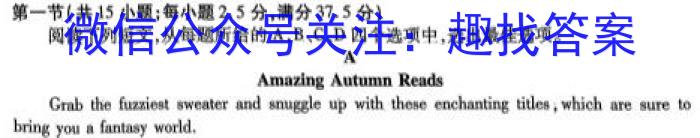 安徽省2023-2024学年度第一学期九年级作业辅导练习（二）英语