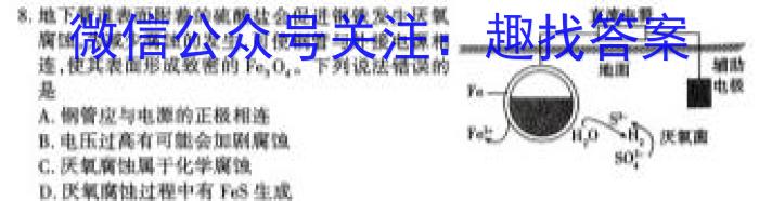 q安徽省十联考 合肥一中2024届高三第二次教学质量检测(243174D)化学