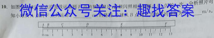 广西省普通高中2024届高三跨市联合适应性训练检测卷（11月）物理`