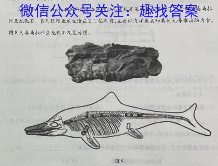 百师联盟·2023-2024学年高一12月大联考&政治