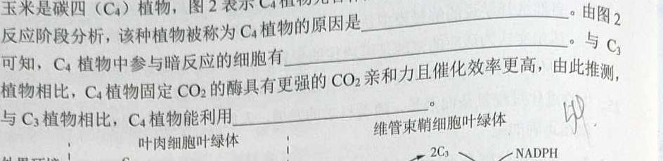 河北省2023-2024学年高二上学期期中考试(人形图标 HEB)生物