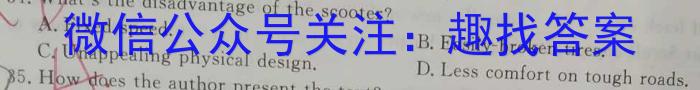 名校调研系列卷·2023-2024学年九年级期中测试英语试题