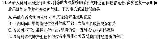 江西省2023一2024学年九年级高效课堂练习（二）生物