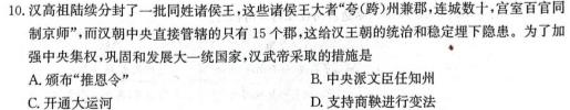 河南省2023-2024学年高三试卷11月联考(五个圆圈 HEN)历史