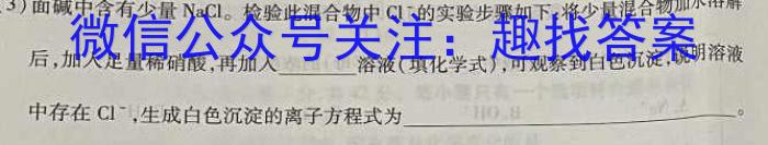 3神州智达 2023-2024高一省级联测考试上学期期中考试化学试题