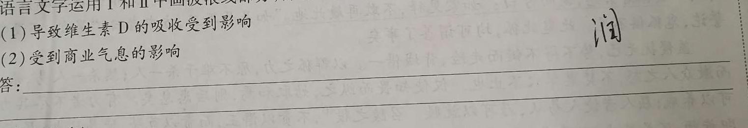 [今日更新]2024年全国高考仿真模拟卷(一)语文试卷答案