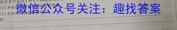 河南省新高中创新联盟TOP二十名校高一年级11 月调研考试(241100D)语文