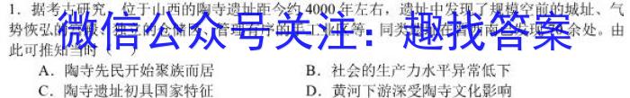 湘豫名校联考 2023年11月高三一轮复习诊断考试(二)历史