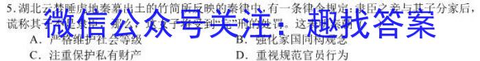 安徽省淮南市某校2023-2024学年八年级学情练习卷历史