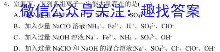 q陕西省2023-2024学年度九年级第一学期第二阶段巩固练习化学