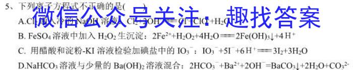 f安徽省2023-2024学年度第一学期九年级期中综合性作业设计化学