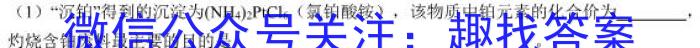 q学林教育 2023~2024学年度第一学期九年级期中调研试题化学