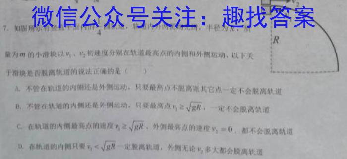 江西省2024届九年级初中目标考点测评（十）物理`