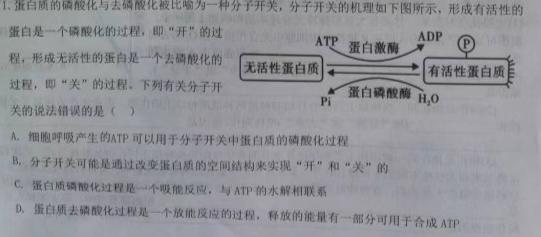 重庆市名校联盟2023-2024学年度高二第一期期中联合考试(高2025届)生物