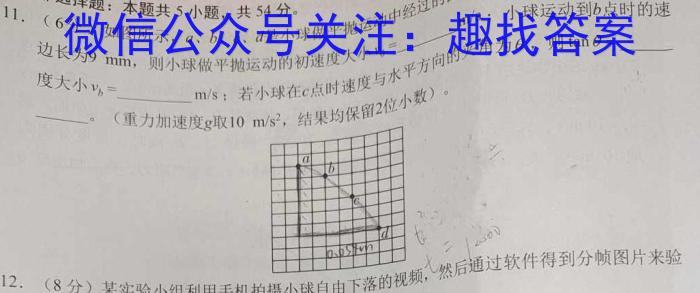 广西省2023年秋季期高中二年级期中教学质量检测(24-141B)f物理