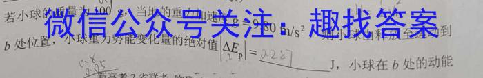 河南省顶级名校2023-2024学年高三上学期10月质量监测物理`