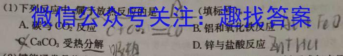 f［独家授权］安徽省2023-2024学年七年级上学期教学质量调研三化学