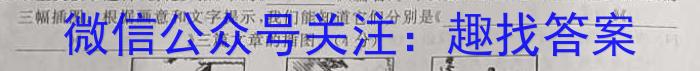 安徽省2023-2024学年度第一学期八年级期中素质教育评估试卷/语文