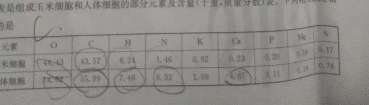 超级全能生·名校交流2024届高三第二次联考(4089C)【XX】生物