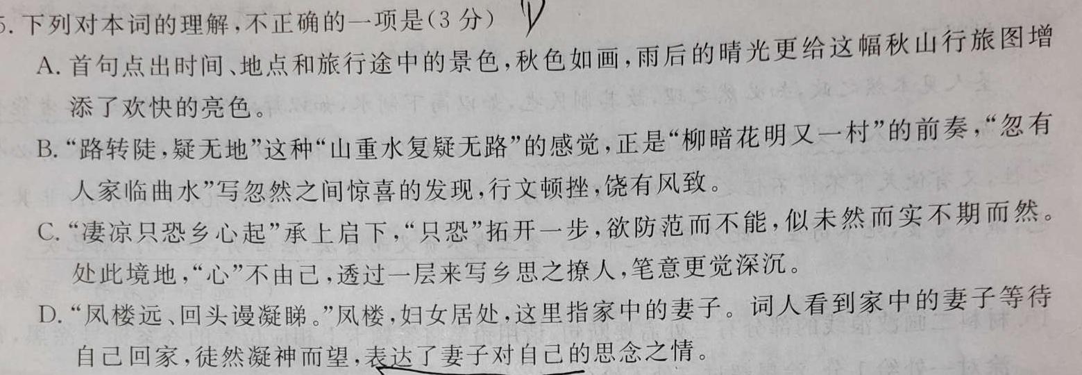 [今日更新]安徽省合肥市2024届九年级第一学期11月份阶段练习（11月）语文试卷答案