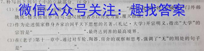 江西省2024届九年级初中目标考点测评（十四）语文