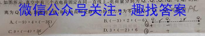 陕西省2024届高三教学质量检测(24186C)l物理