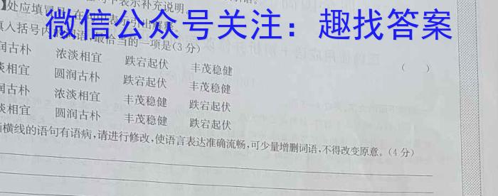 河北省2023~2024学年度第一学期九年级期中教学质量监测(24-CZ25c)语文