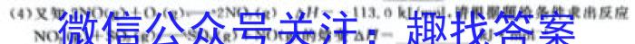 q陕西省2023~2024学年度九年级第一学期期中阶段测试卷化学