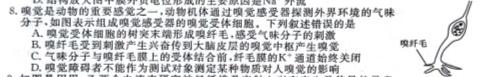 2023-2024学年河北省高一选科调考第二次联考生物