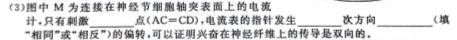  2023-2024学年安徽省八年级上学期阶段性练习（二）生物