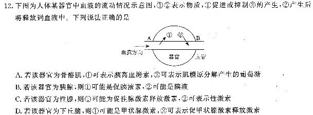 ［江西大联考］江西省2024届高三10月联考（正方形套黑菱形）生物