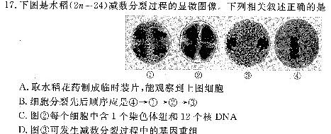 2023~2024学年山西省高三10月联考(24-146C)生物