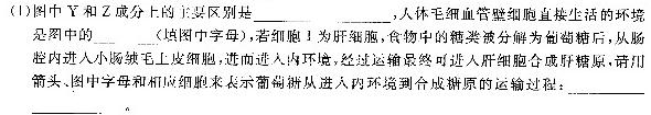 河北省2023-2024学年六校联盟高二年级期中联考(242258D)生物