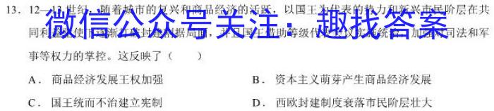 安徽省十联考 合肥一中2024届高三第二次教学质量检测(243174D)历史