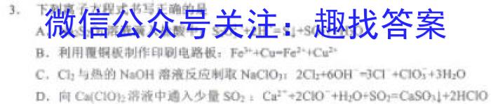 3江西省2024届八年级第三次阶段适应性评估 R-PGZX A-JX化学试题