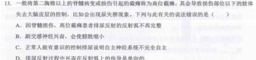 重庆市康德2024年普通高等学校招生全国统一考试11月调研测试卷生物