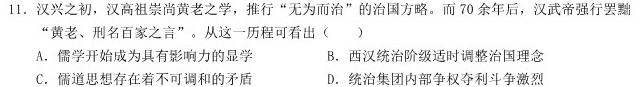 河南省2024届九年级期中综合评估 2L R历史