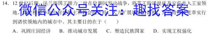 衡水金卷.先享题.分科综合卷 2024年普通高等学校招生全国统一考试模拟试题历史