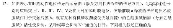 山西省2023-2024学年高一第一学期高中新课程模块期中考试试题(卷)(二)生物