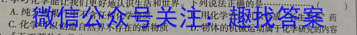 q广东省2024届九年级期中综合评估[2LR]化学