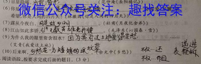 陕西省2023-2024学年度第一学期七年级课后综合作业（一）A/语文