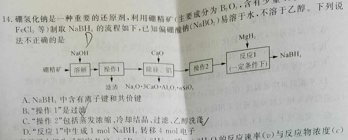 1高考快递 2024年普通高等学校招生全国统一考试信息卷(一)1新高考版化学试卷答案