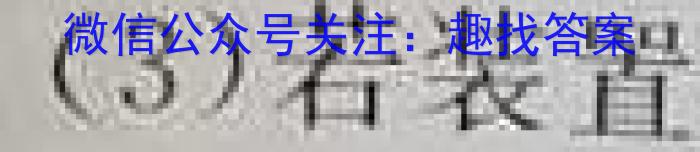 q广东省2024届高三上学期第三次六校联考化学